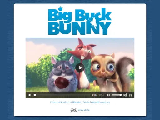 Video Video